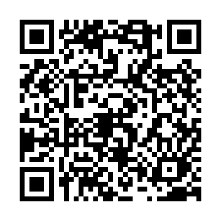 QR code for 6010AOQ