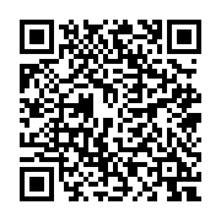 QR code for 6010DEV