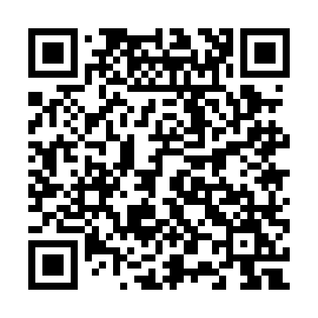 QR code for 6010LM