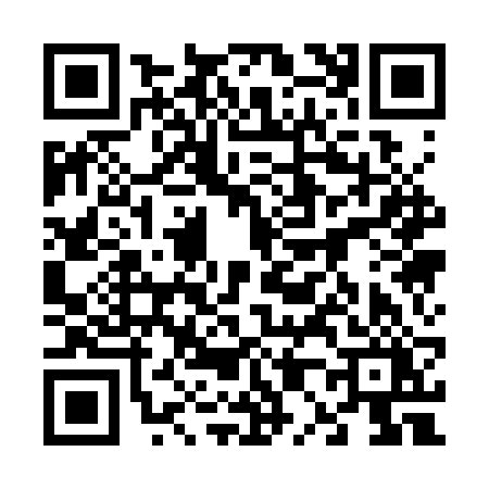 QR code for 6013RYI