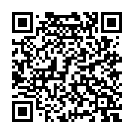 QR code for 6017DT