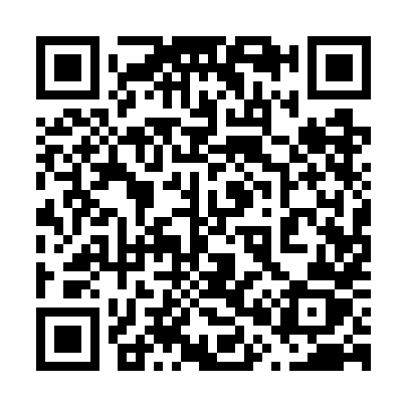 QR code for 6017HZ