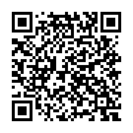 QR code for 6017PM