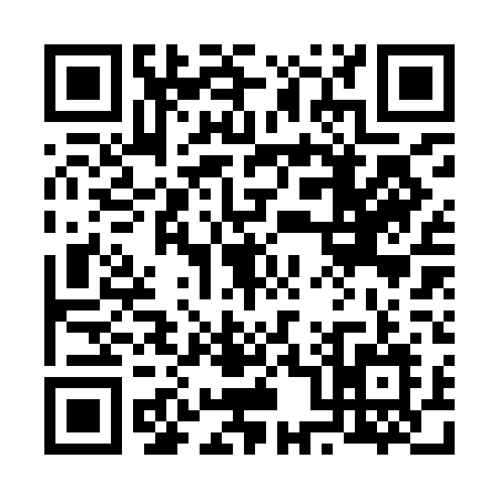 QR code for 6029DLO