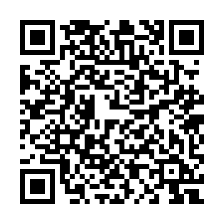 QR code for 6030IFE