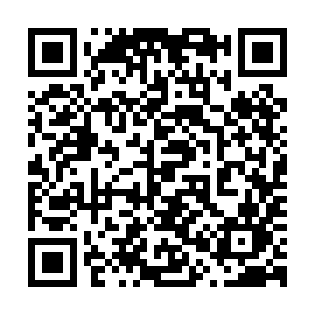 QR code for 6030IN