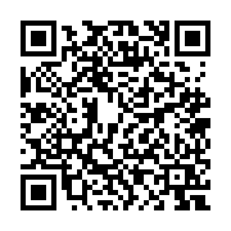 QR code for 6033MSX