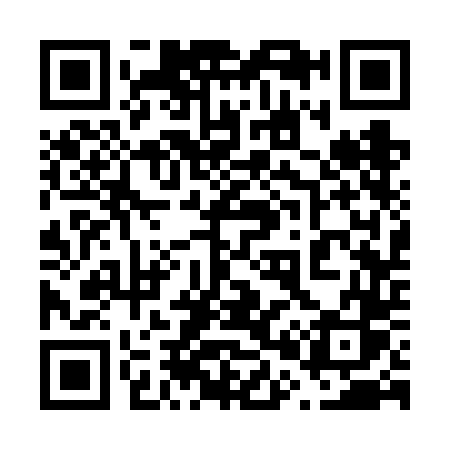 QR code for 6036DS
