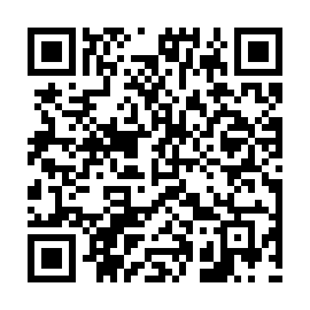 QR code for 613SIG
