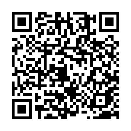 QR code for 6141PAK