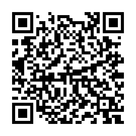 QR code for 617PAP
