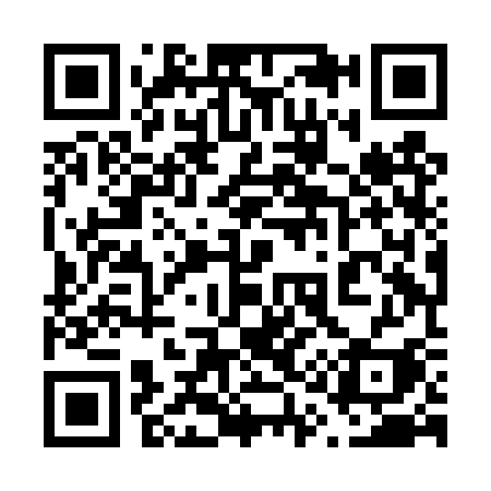 QR code for 618DSI