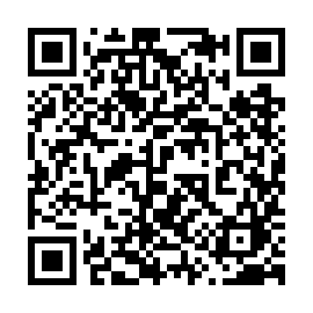 QR code for 6197IC