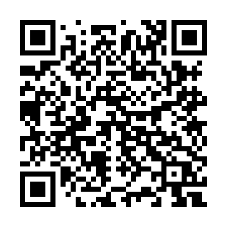 QR code for 6238DP