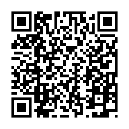 QR code for 6293LIT
