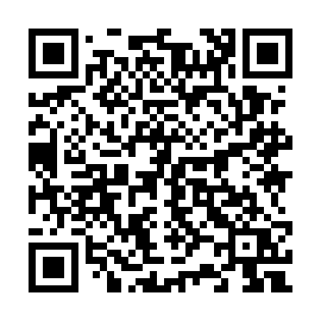 QR code for 6295BQ