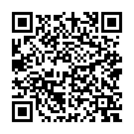 QR code for 6295NPI