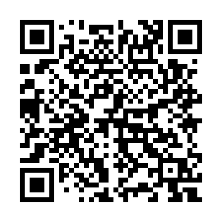 QR code for 6295QP