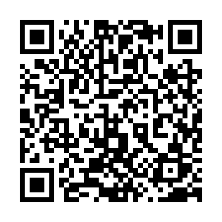 QR code for 6313SR
