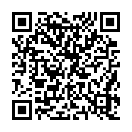 QR code for 6313WZ