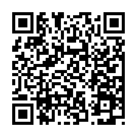 QR code for 6329IMG
