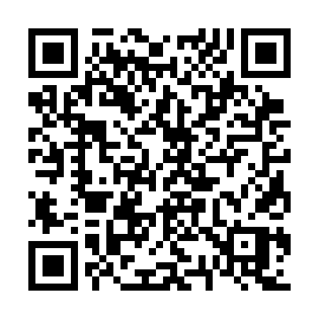 QR code for 6333DP