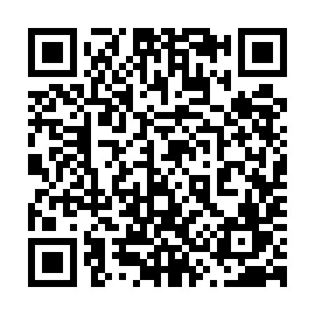 QR code for 6335IV