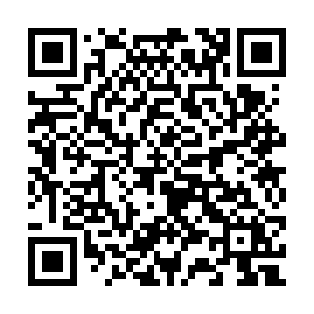 QR code for 6336RX