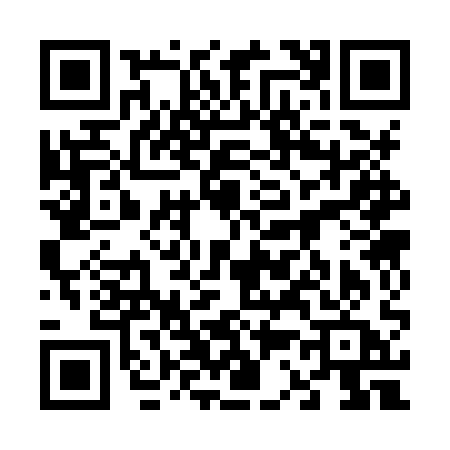 QR code for 6338QAL
