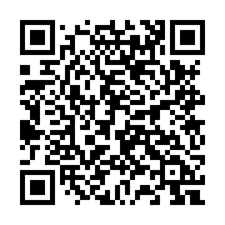 QR code for 6338ZD