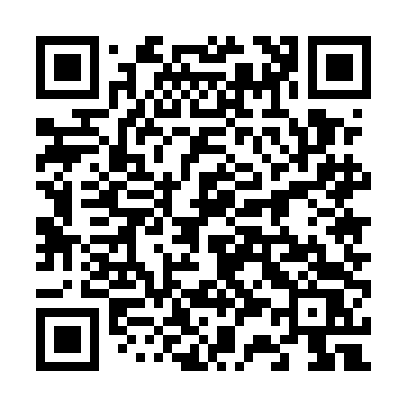 QR code for 6355DS