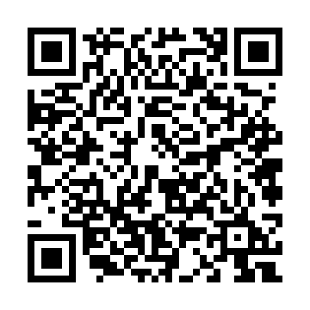 QR code for 6365SET