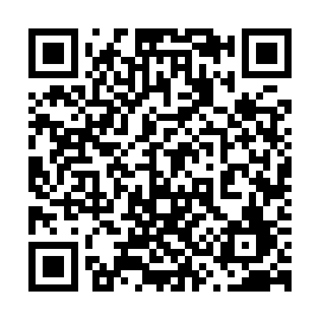 QR code for 6369SF