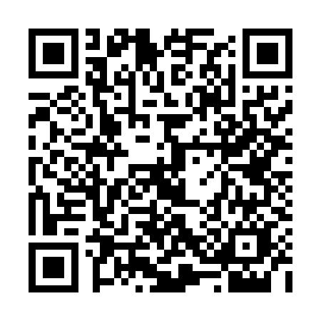 QR code for 6375INC