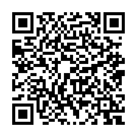 QR code for 6380GIN