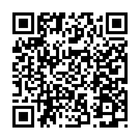 QR code for 6381HUM