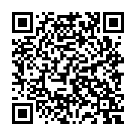 QR code for 6381ZW