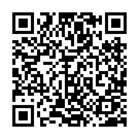 QR code for 6382OP