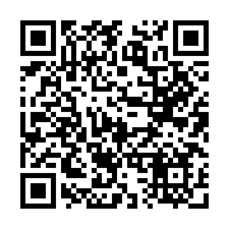 QR code for 6383HO