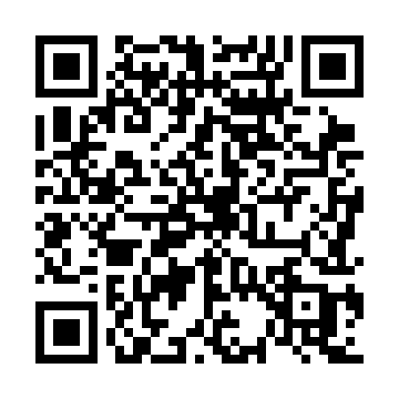 QR code for 6383ICN