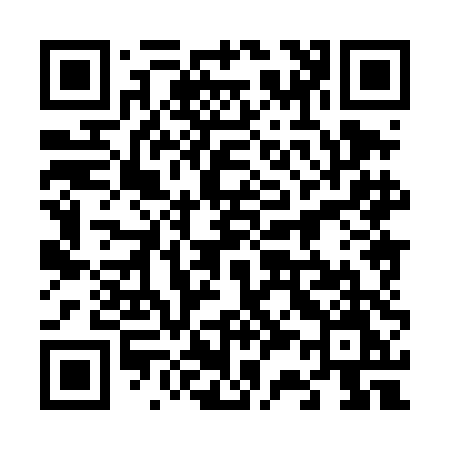 QR code for 6384DM