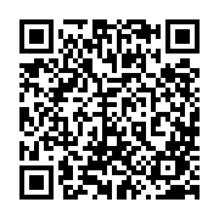 QR code for 6385MN
