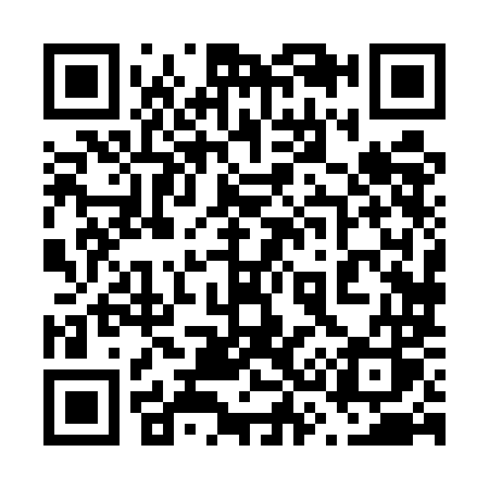 QR code for 6385MS