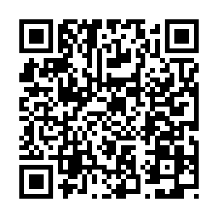 QR code for 6386BIG