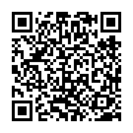 QR code for 6386FX
