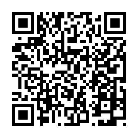QR code for 6387VIT