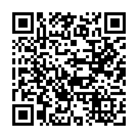 QR code for 6389FF