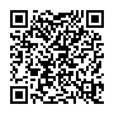 QR code for 6389PI