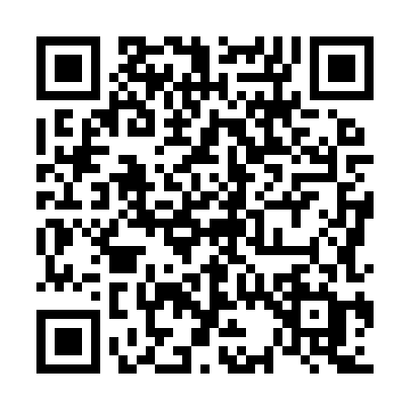 QR code for 6389XGB