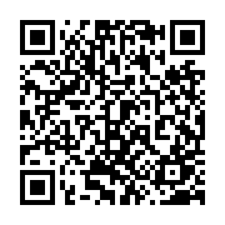 QR code for 638NPT